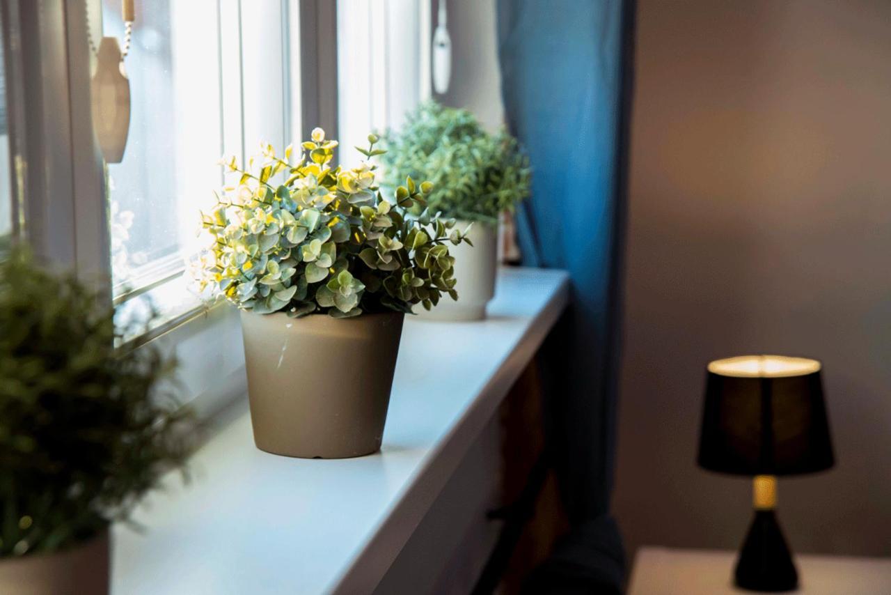 Apartament Gosia Nysa Ngoại thất bức ảnh